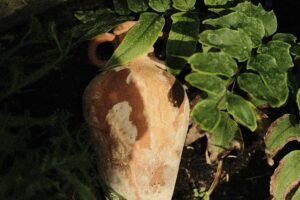 Les 5 grandes révolutions de la viticulture : du vin romain au vin connecté
