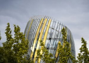 Les cépages rouges du bordelais : l'art de l'assemblage au cœur des grands vins