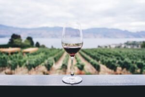 Appellation Minervois