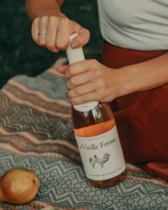 vin rosé 5 raisons pour lesquelles le séduit en été