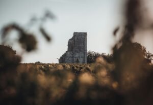 vignoble bordelais